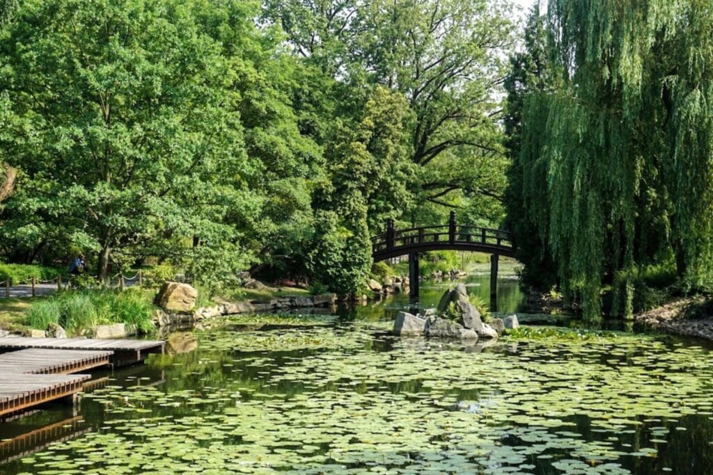 11 Best Things To Do In Wroclaw! 16 Szczytnicki Park & Japanese Garden