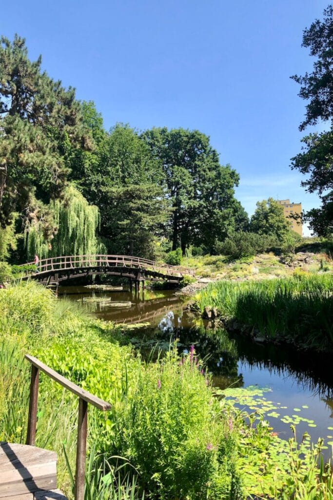 11 Best Things To Do In Wroclaw! 15 Things to do in Wroclaw, Poland